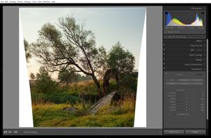 Результат панорамной склейки из двух горизонтальных снимков. Если просто попытаться обрезать белые поля, обрезаются и красивые ветви дерева.