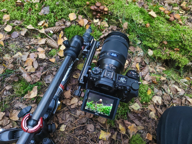 Процесс макросъёмки с использованием Nikon Z 7 и Nikon NIKKOR Z MC 105mm f/2.8 VR S. 
