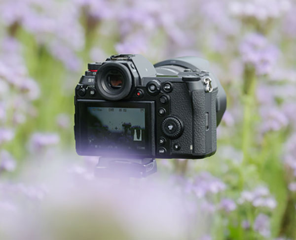 Как безопасно купить фотоаппарат БУ: семь простых советов