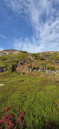 Сверхширокоугольная камера