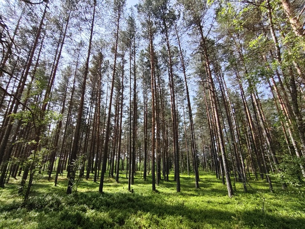 Сверхширокоугольная камера