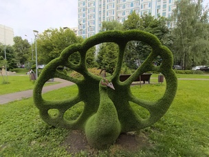 Снимок на сверхширокоугольную камеру