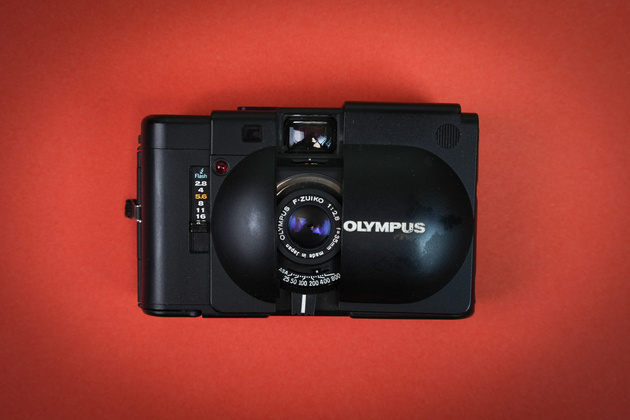 Фото: Митя Иванов