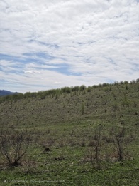 Снимок с удалённым объектов