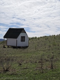 Снимок с перемещённым и увеличенным объектом
