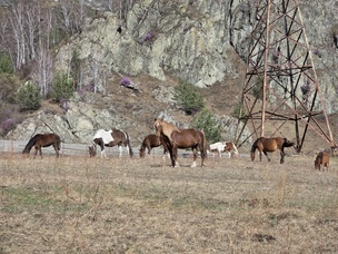 На этот снимок мы добавили «пару сотен лошадиных сил» синего цвета. Получилось довольно интересно!