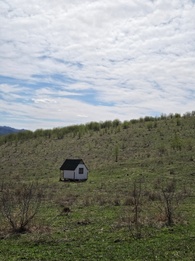 Исходная фотография