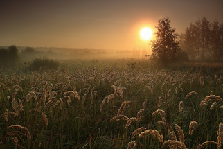 Сергей Тельнюк, номинация «Пейзаж»