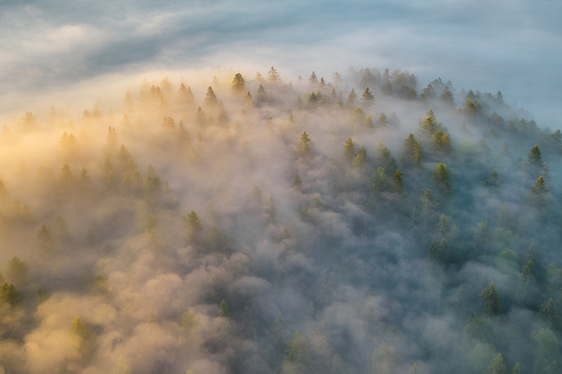 Александр Пашеничев, номинация «Магия стихии»