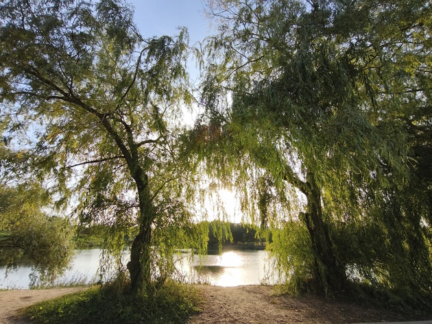 Сверхширокоугольная камера