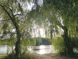 Основная камера, 12 Мп