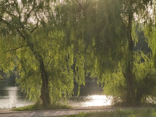 Зум-камера, 12 Мп