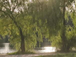 Зум-камера, 50 Мп