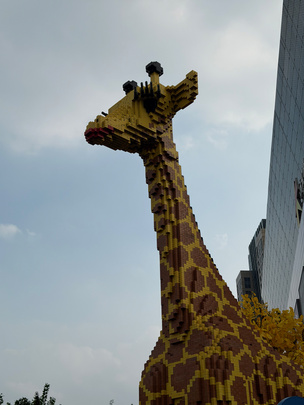 Снимок на зум-камеру с 4x-увеличением