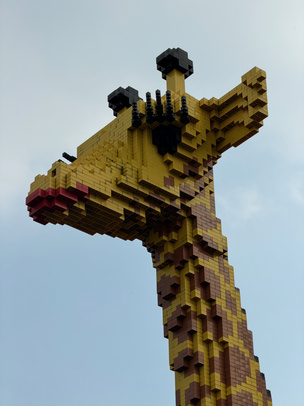 Снимок на зум-камеру с 8x-увеличением (цифровой кроп)