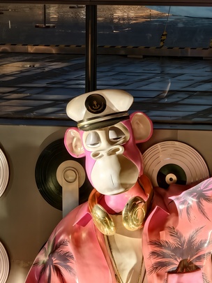 Снимок с 10-кратным цифровым зумом
