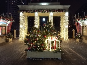 50-мегапиксельная тыловая камера