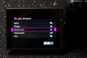 Лучше подсказать камере, какой объект вы снимаете