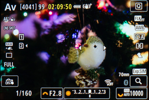 Автофокус с распознаванием животных наводится по глазам