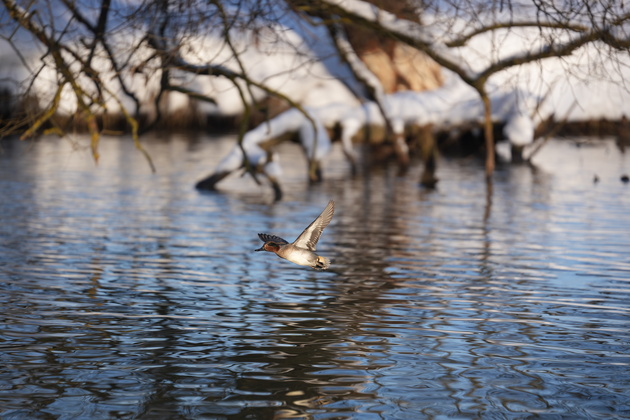 Кадр снят буквально навскидку, ещё до того момента, как я поднёс камеру к глазу