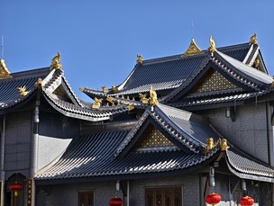 Снимок на зум-камеру (3,7x увеличение)