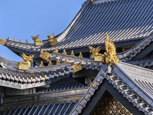 Снимок на зум-камеру с десятикратным цифровым зумом