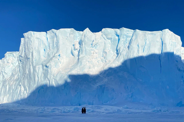 Стартовал приём работ на III Международный конкурс фотографии «СВЕТ И ЦВЕТ»