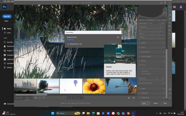 Denoise для 50-мегапиксельного RAW-файла занял около 1 минуты