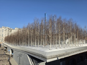 12 мегапикселей