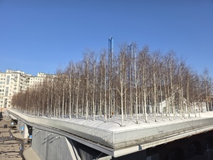 50 мегапикселей