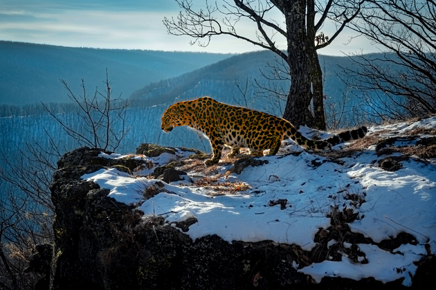 Приём заявок на XII фотоконкурс «Самая красивая страна» завершён! Эксперты определяют финалистов