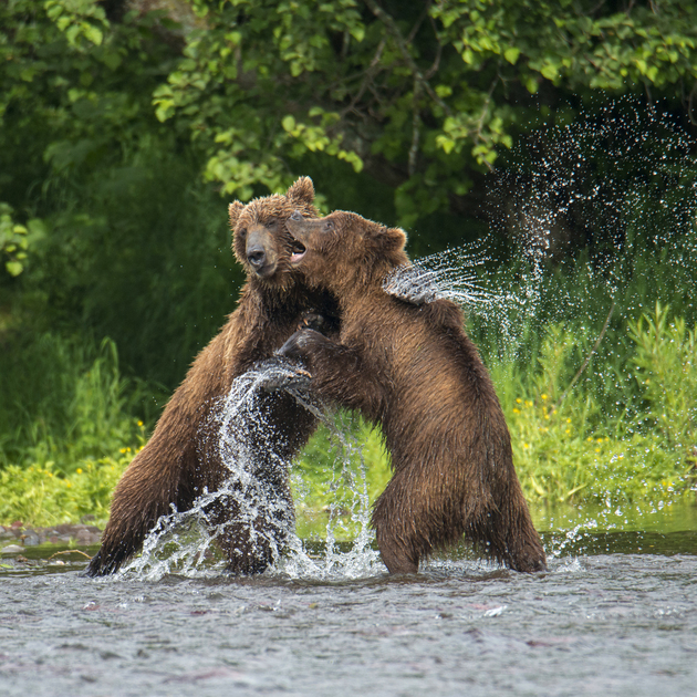 Терещенко Александр