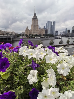 Закрытая диафрагма