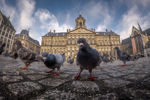 Фото: Sony